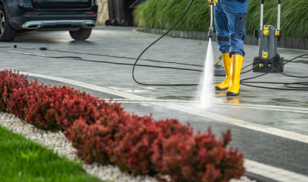 Best Fence Cleaning  in Evadale, TX